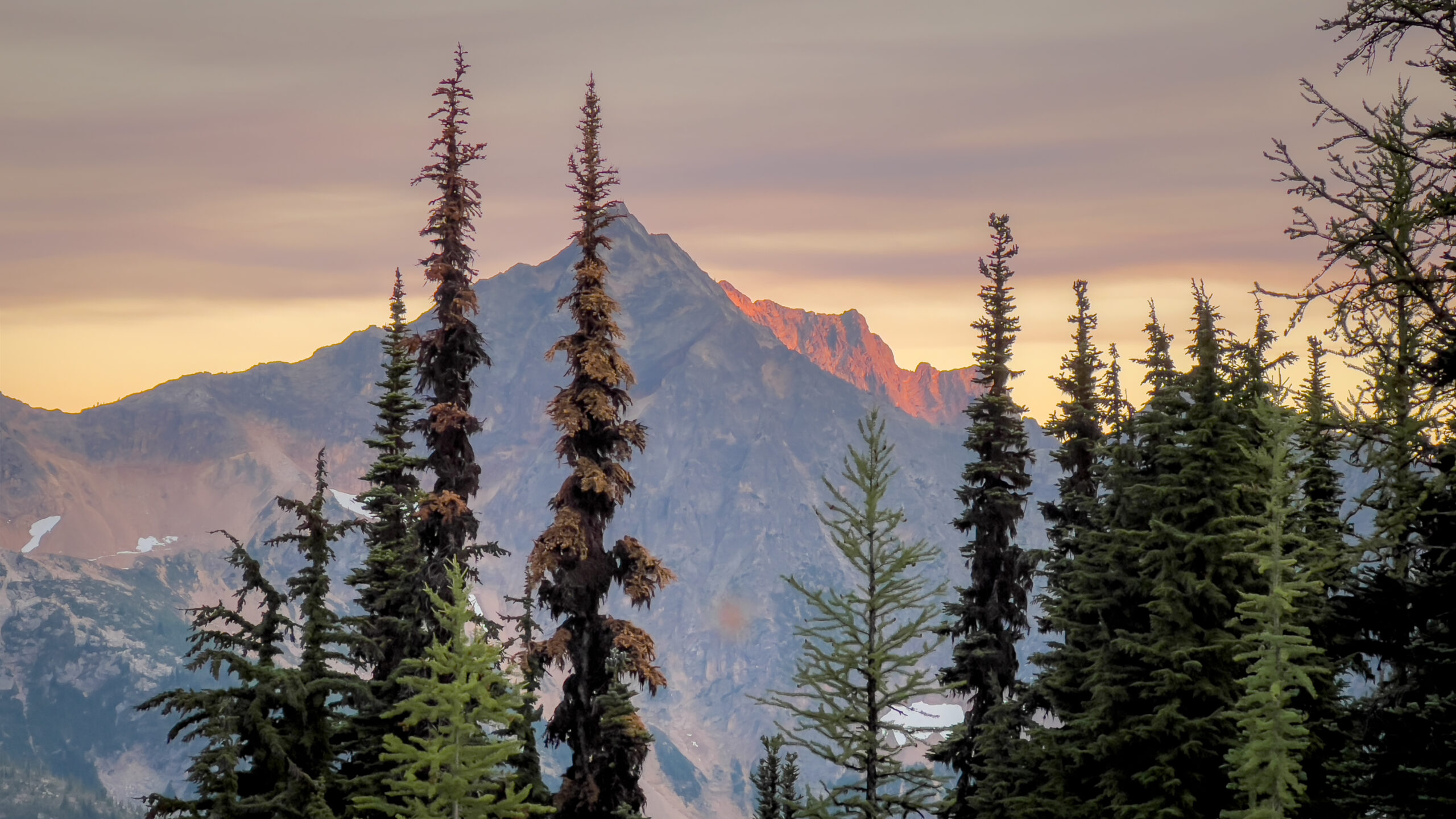 PCT Alpenglow