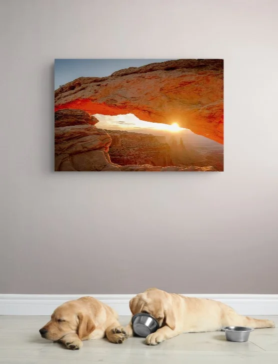 Mesa Arch fine art print displayed on a wall